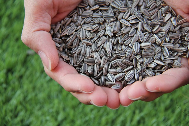 sunflower seeds for peyronie's disease